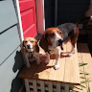 Meet your Posher, Nora